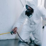 Pest Control Solutions